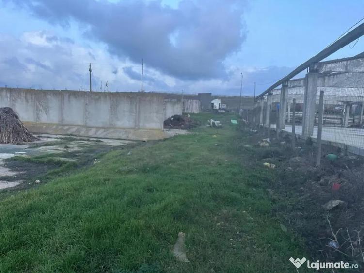 Teren intravilan industrial - 4
