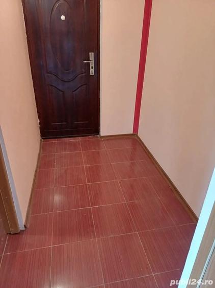 Vand garsoniera localitatea Ticleni - 4