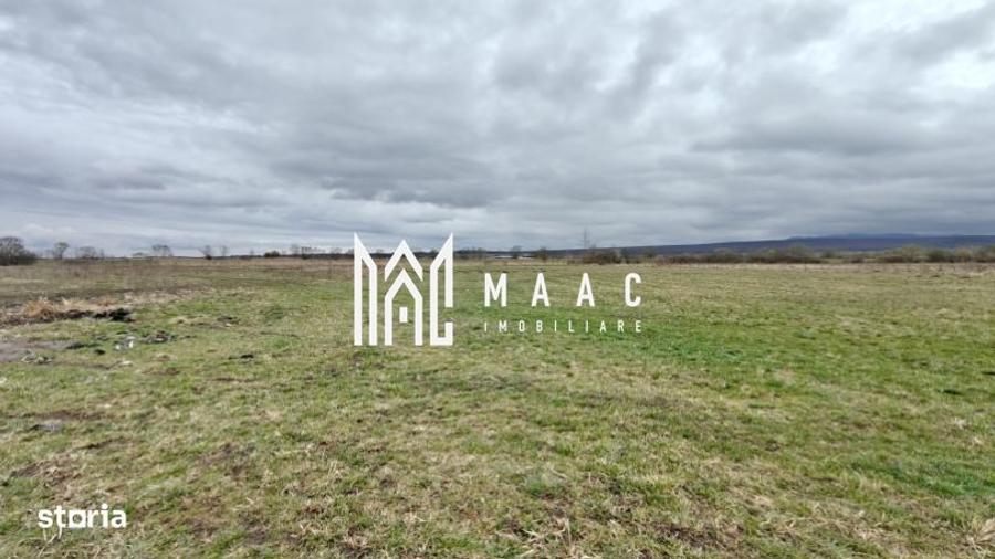 Teren extravilan I 2400 mp I Arabil I Teren drept I Cristian - 3