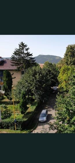 Minigarsoniera - tot confortul- Astra - 1