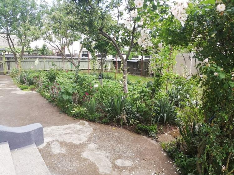 Casa 250 mp. si teren aferent 1000 mp Savinesti Neamt - 4