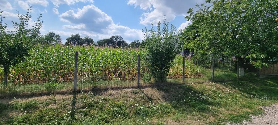 Teren intravilan in Zaicesti zona Conacului cu latura de padure - 1