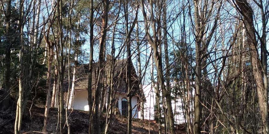 Teren Valiug 900-2400 mp acces auto utilita?i negociabil - 5