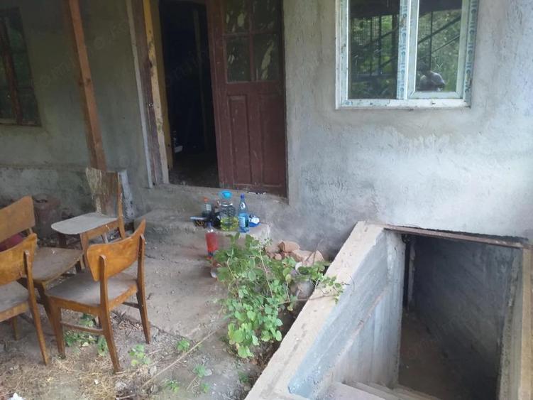 Vand Casa in Diosti, jud Olt cu teren 2500m2 - 2