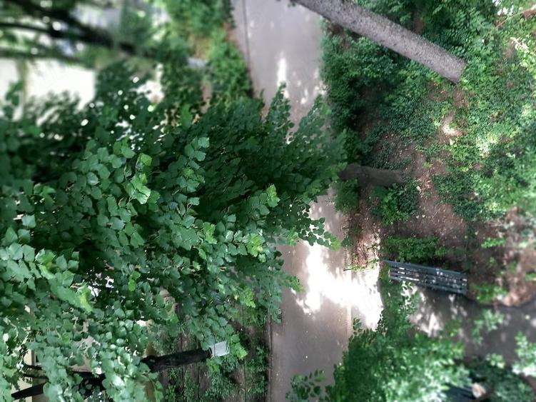 Apartament 2 camere decomandat , zona verde fara trafic auto, la 2 pasi de bulevard.si de b - 1