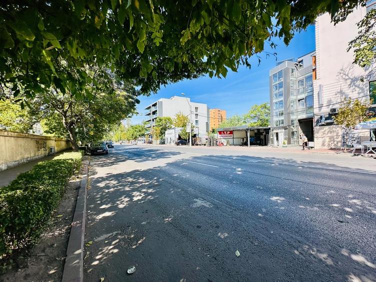 Spațiu comercial, de 30 mp, în Vitan