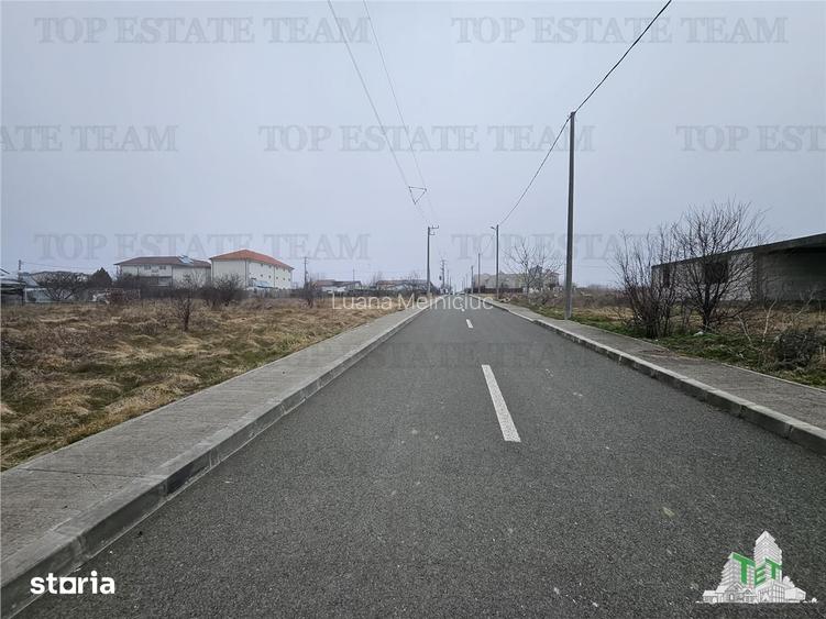 TEREN INTRAVILAN 1000 MP COSTINESTI