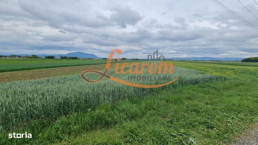 Teren intravilan Stupini front la Calea Feldioarei, DN 13 - 2