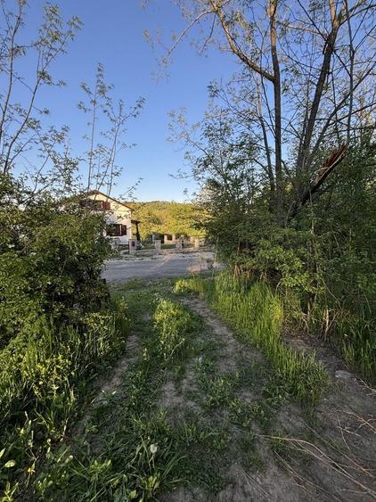 Teren de 1295 mp, în Țerova