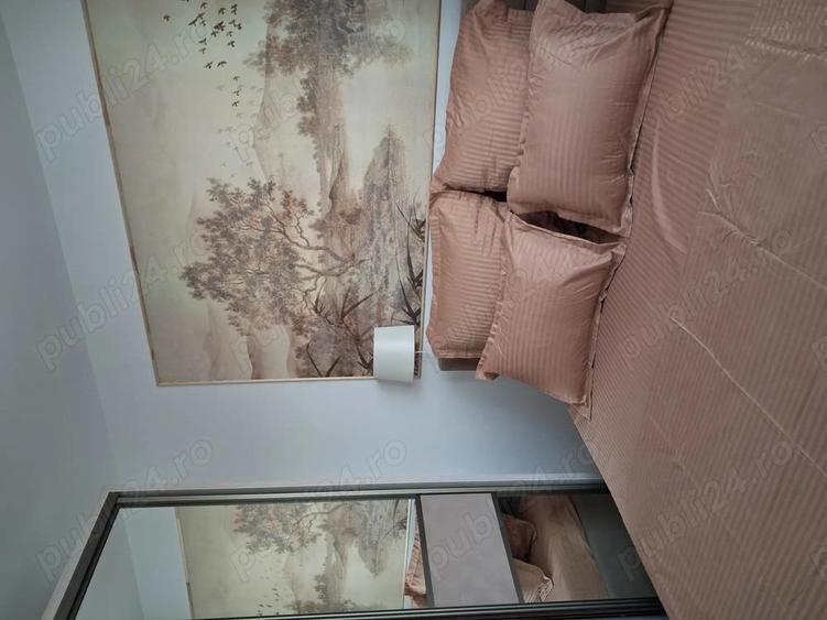 Drumul Taberei apartament 3 camere - 9