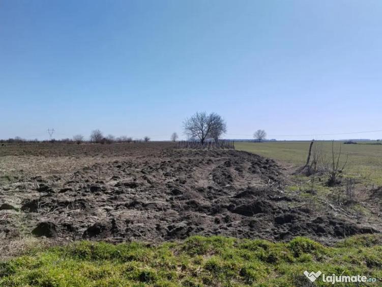 Teren generos cu deschidere 17 ml la strada + casa Vadul - 5