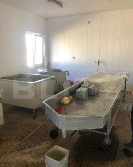 Afacere la cheie + casa, 160mp, Baraitaru - 10