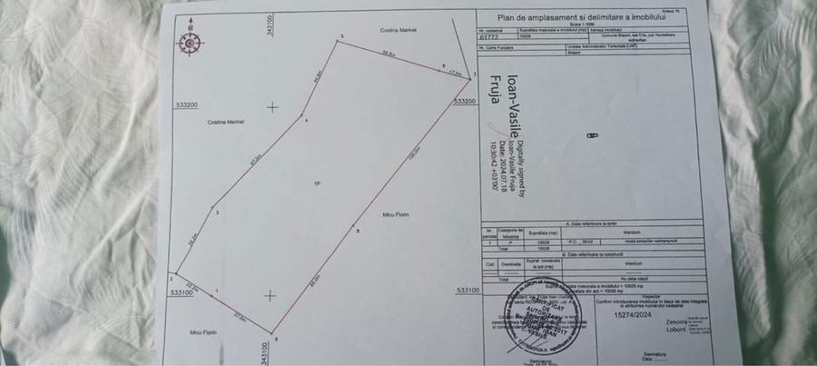Se vinde teren-10 hectare in comuna Blajeni judetul Hunedoara - 5