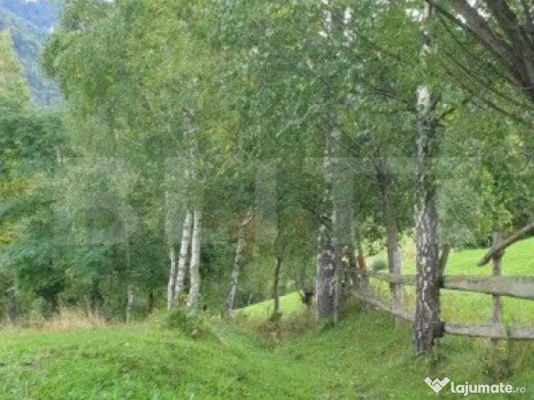 Teren 13.570 mp, Moieciu Pestera - 3