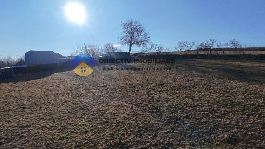 Teren intravilan DOBRENI - 3