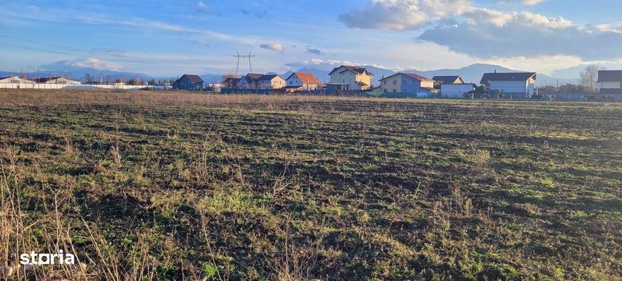 Vindem parcele de teren cu utilitati - Halchiu - 5