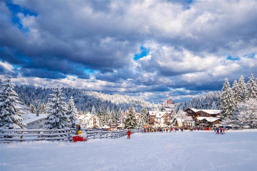 In inima Statiunii Poiana Brasov, Investment Class, - 6