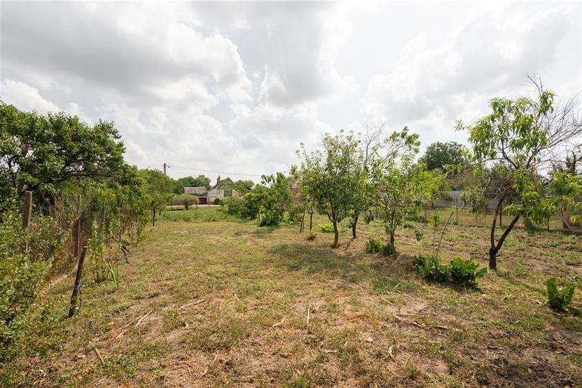 Teren mare cu 2 case si front la 2 strazi in Tamaseu - 32