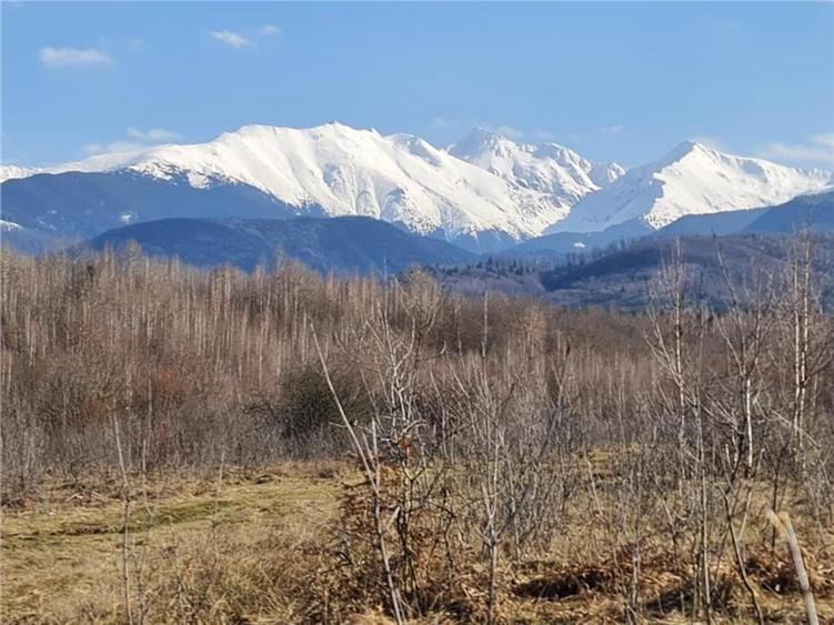 Teren intravilan 2500mp  pe Valea Avrigului,optim casa de vacanta - 14