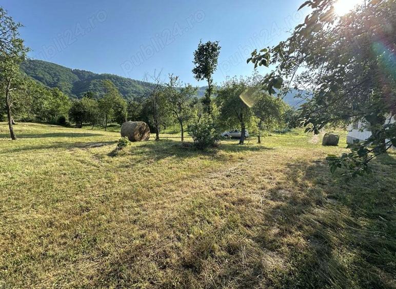 Vand casa si teren 10000mp - 1