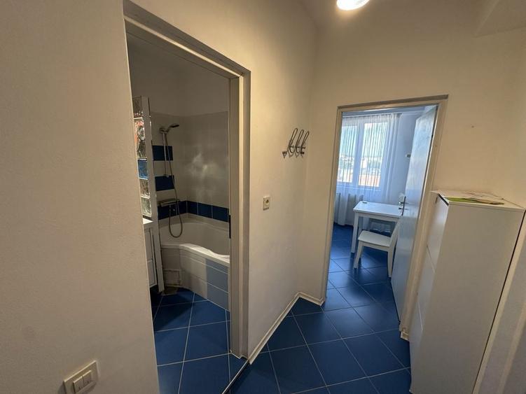 PF apartament 1 camera, str. Dunarii, complet mobilat si utilat - 3