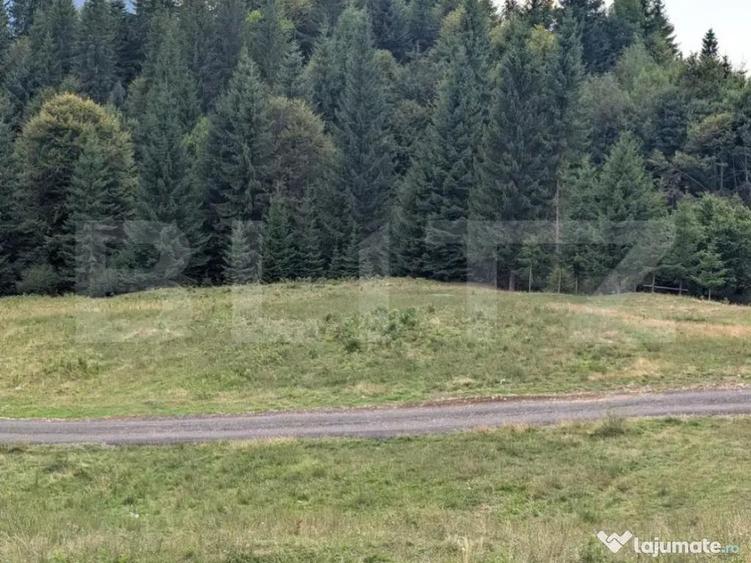 Teren intravilan de vanzare in Colibi?a oportunitate - 1