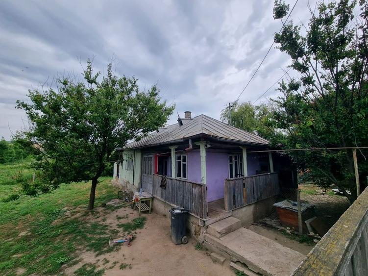Casa batraneasca - 8