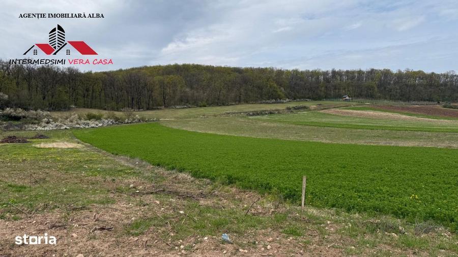 Teren intravilan 833 mp de vanzare in Ampoita Jud Alba - 2