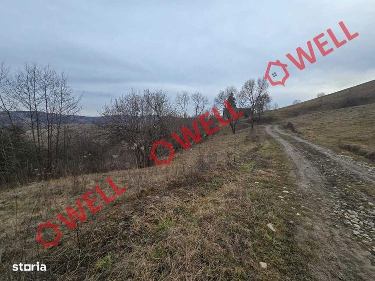 De vanzare teren partial intravilan in Saramas,pe punctul ,La Cuptor,, - 3