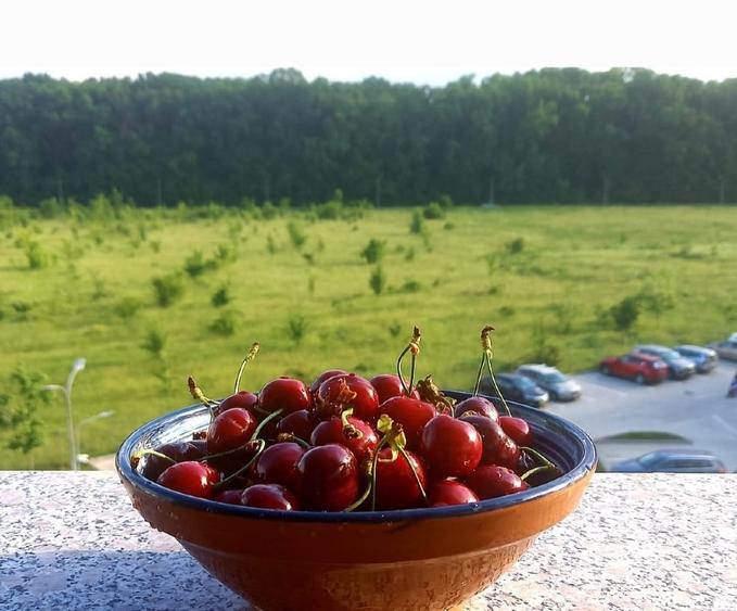 Apartament 2 camere Greenfield mobilat - 10