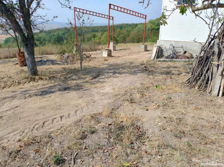 Hala pe Structura Metalica+ Casa batraneasca + 4800 m2 - 3