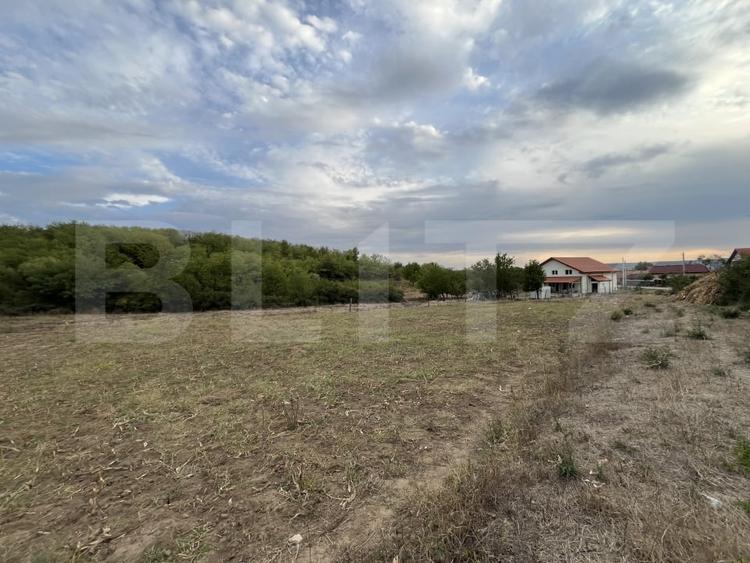 Teren in Filiasi 1000 mp / 30 ml front, toate utilitatile - 2