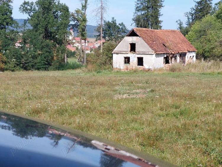 Inginer Silvic,caut sa inchiriez intretin casa cu teren Codlea sau imprejurimi - 1