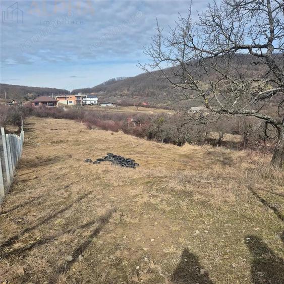 Teren extravilan de vanzare Bistrita, Valea Rusului - 2