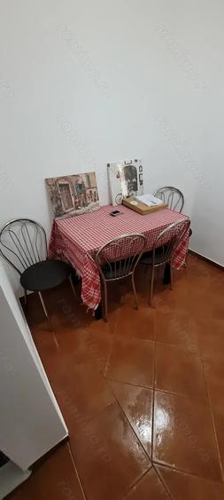 Apartament 2 camere Parter Baile Herculane - 2
