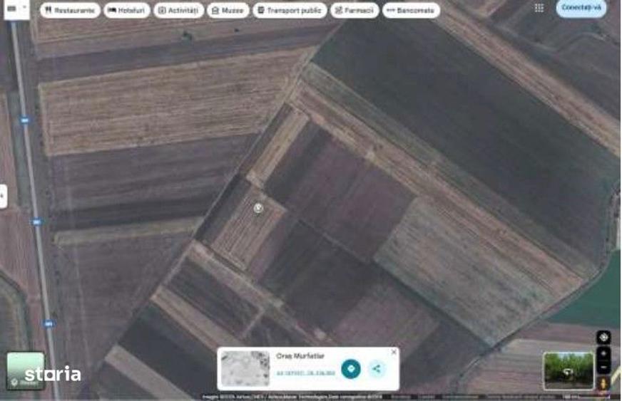 Teren extravilan cota parte 1/5 Murfatlar, ID: R2982571 - 8