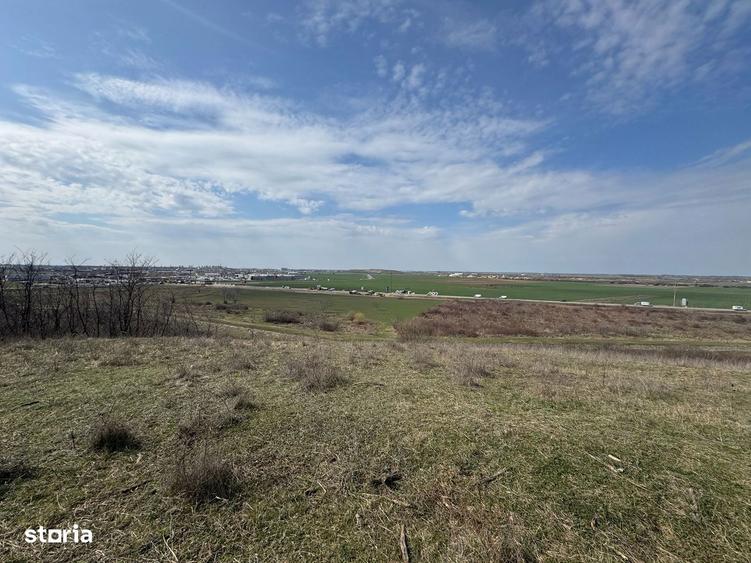 Teren 10262 mp extravilan Episcopia Oradea - 2