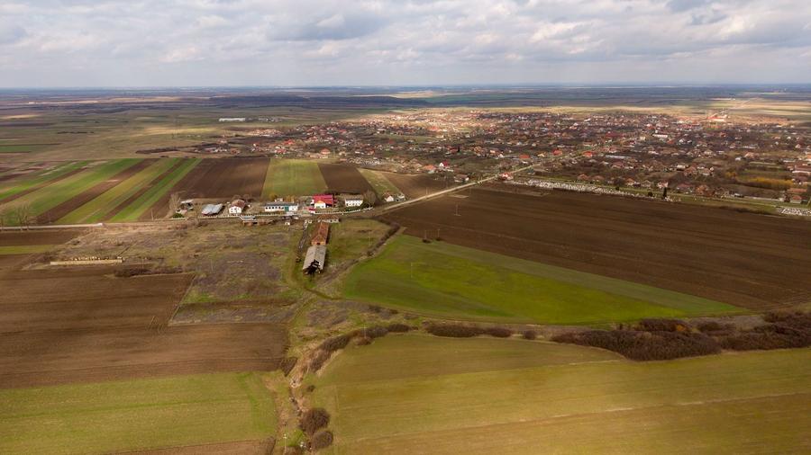 Fermă cu teren intravilan de 35000 mp în Mișca - 8