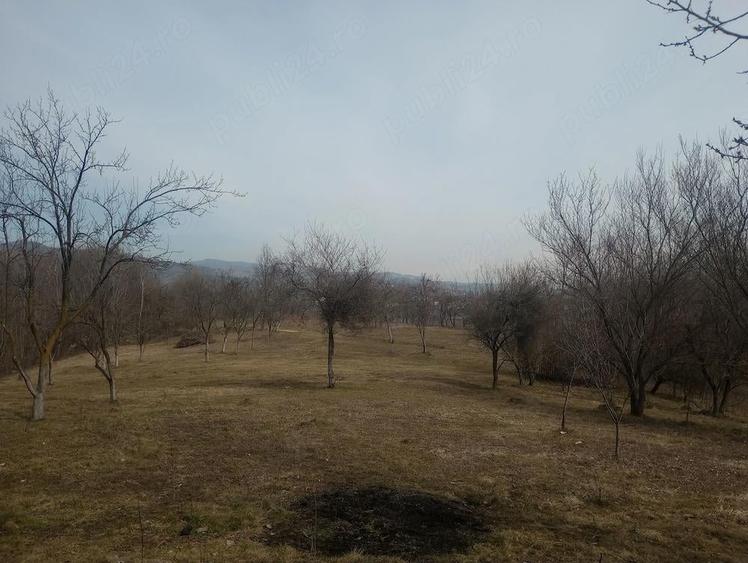 De vanzare casa si teren in Faget, DRAJNA, Prahova - 9