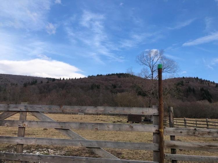 Oportunitate de investitie - 2