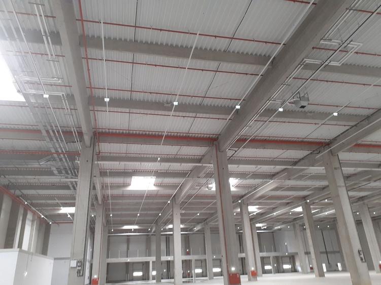 Depozite construite conform cerintelor / Warehouses build to suit - 5