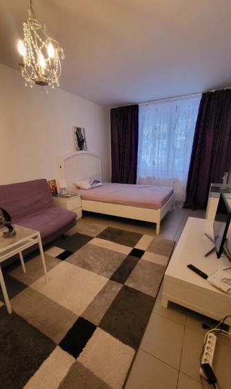 Garsoniera Drumul Taberei Proprietar - 8