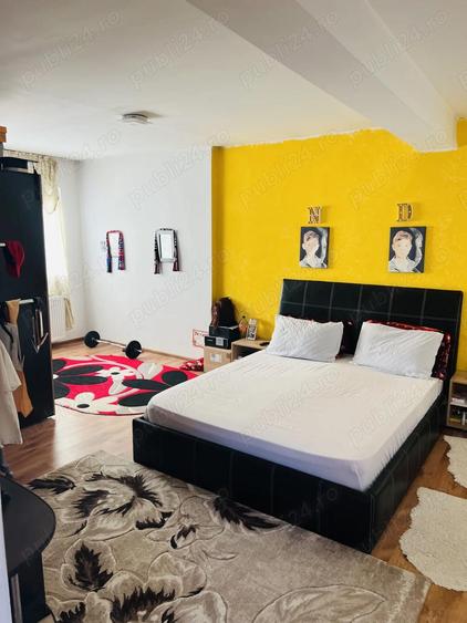 Casa vanzare Colentina Maior Bacila - 2