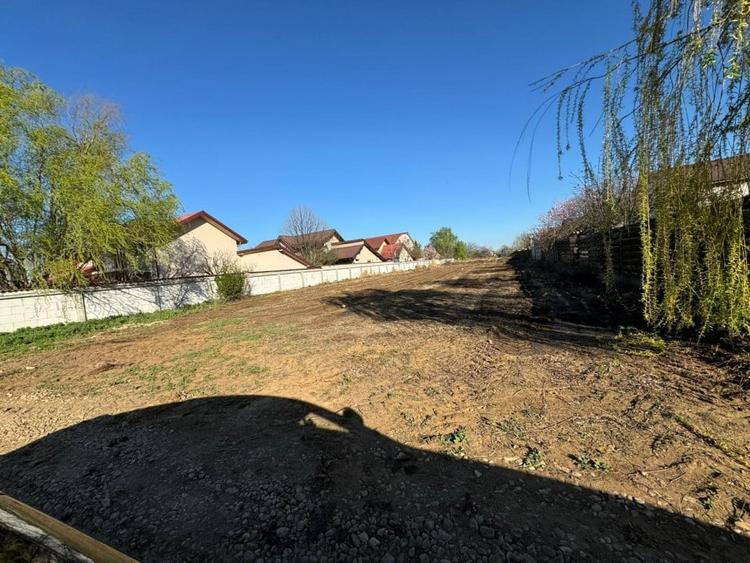 Domnesti, Drumul Targului, teren 1250mp, deschidere 20ml, utilitati. - 2