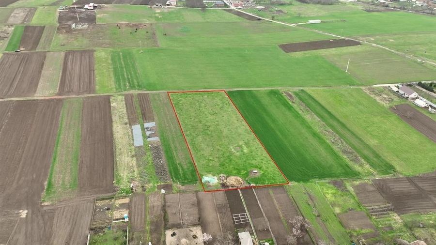 RECO Teren intravilan Girisu de Cris - 4