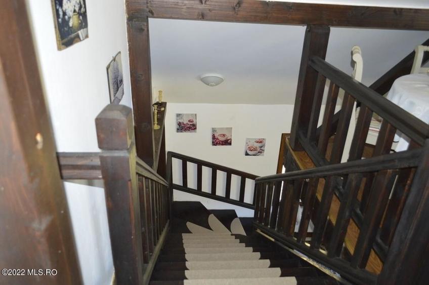 Topoloveni - Conacul Ion Mihalache, Domeniu pe 5 Hectare! - 32