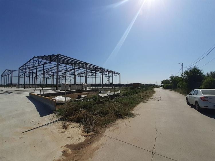 Hale noi in zona Gara Catelu, Drumul Intre Tarlale - 5