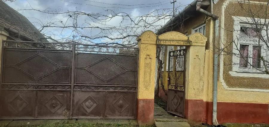 vand casa la tara - 2