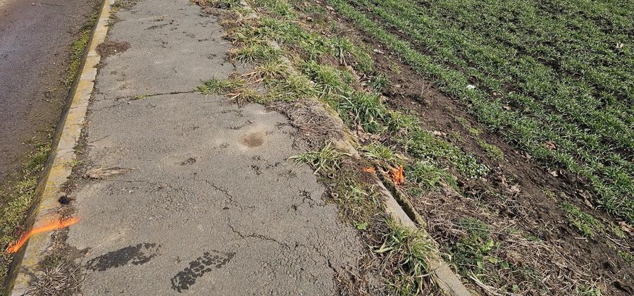 Costinesti / Frontal la mare/Forum /Golful Francez - 9