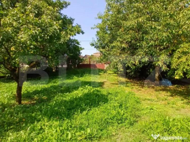 Casa 4 camere in Viisoara, langa Campia Turzii - 16